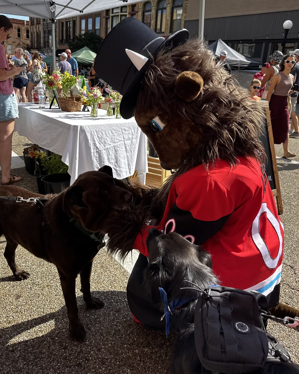 bisonhockeyECHL's tweet image. Abe had a fantastic time this morning at the Downtown Bloomington Farmers Market! ☀️