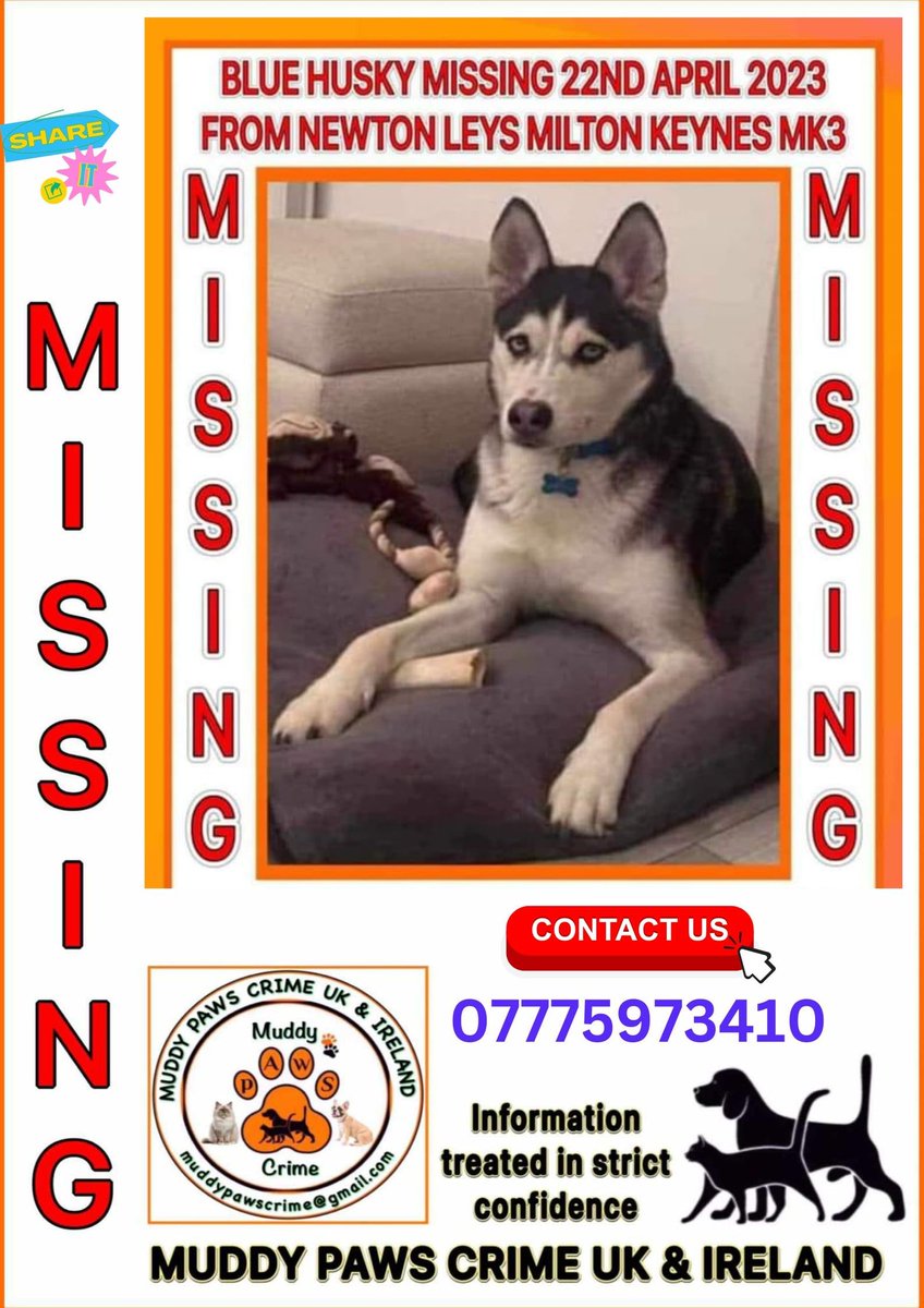 muddypawscrime's tweet image. Somebody must have information about Blue ‼️
WHY are you not coming forward ❓ , Such a distinctive boy so please have a think have you or anyone you know been offered, bought or adopted a dog like Blue since 22/04/23 ❓. Pls speak to us IN CONFIDENCE 🙏
@MissingPetsGB @HunnyJax