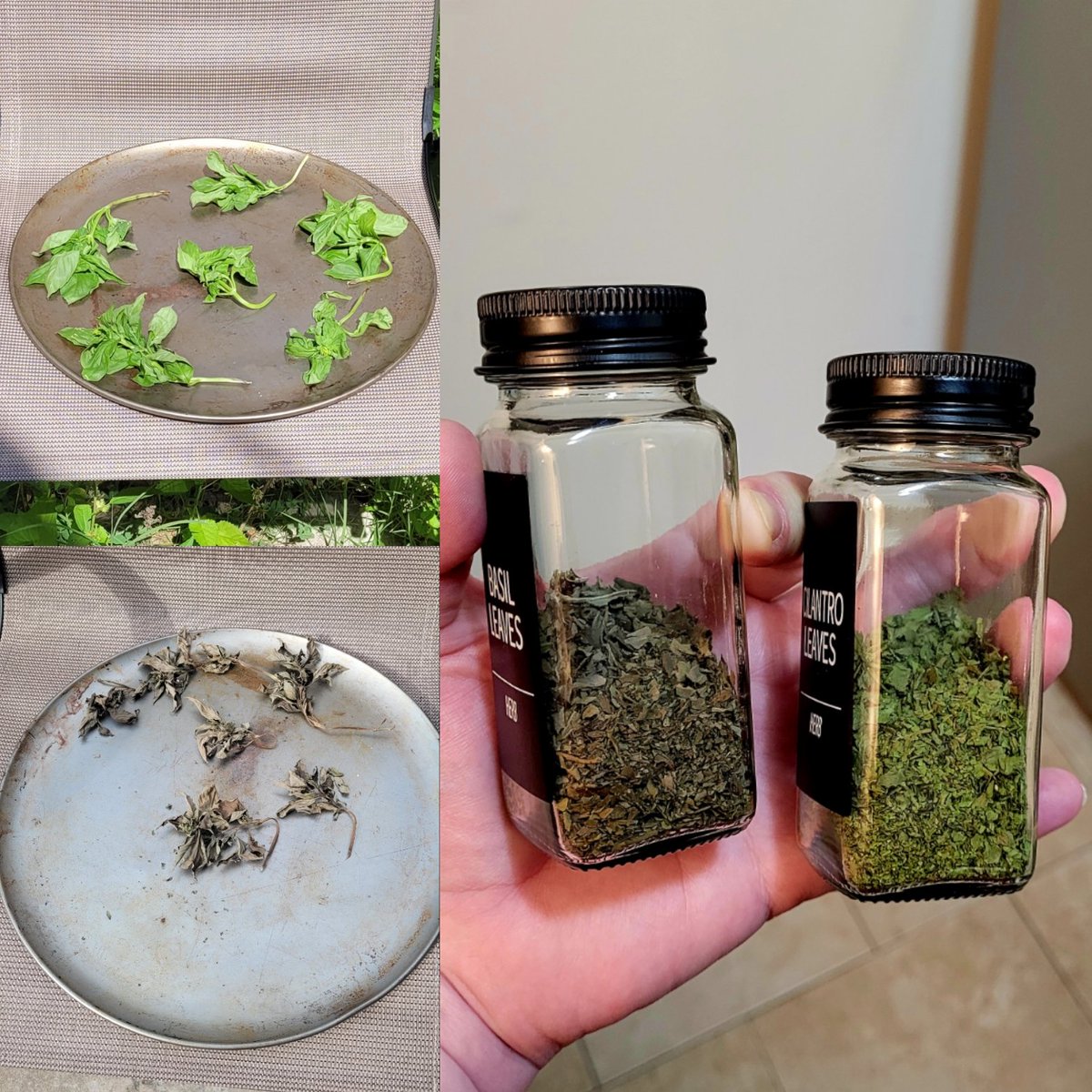 Sun dried this time and put in glass with cute custom labels.