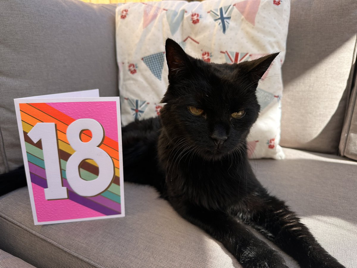 Michael Nolan tweet media