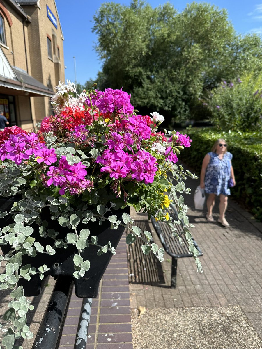 Stroll around the city of Chelmsford today…