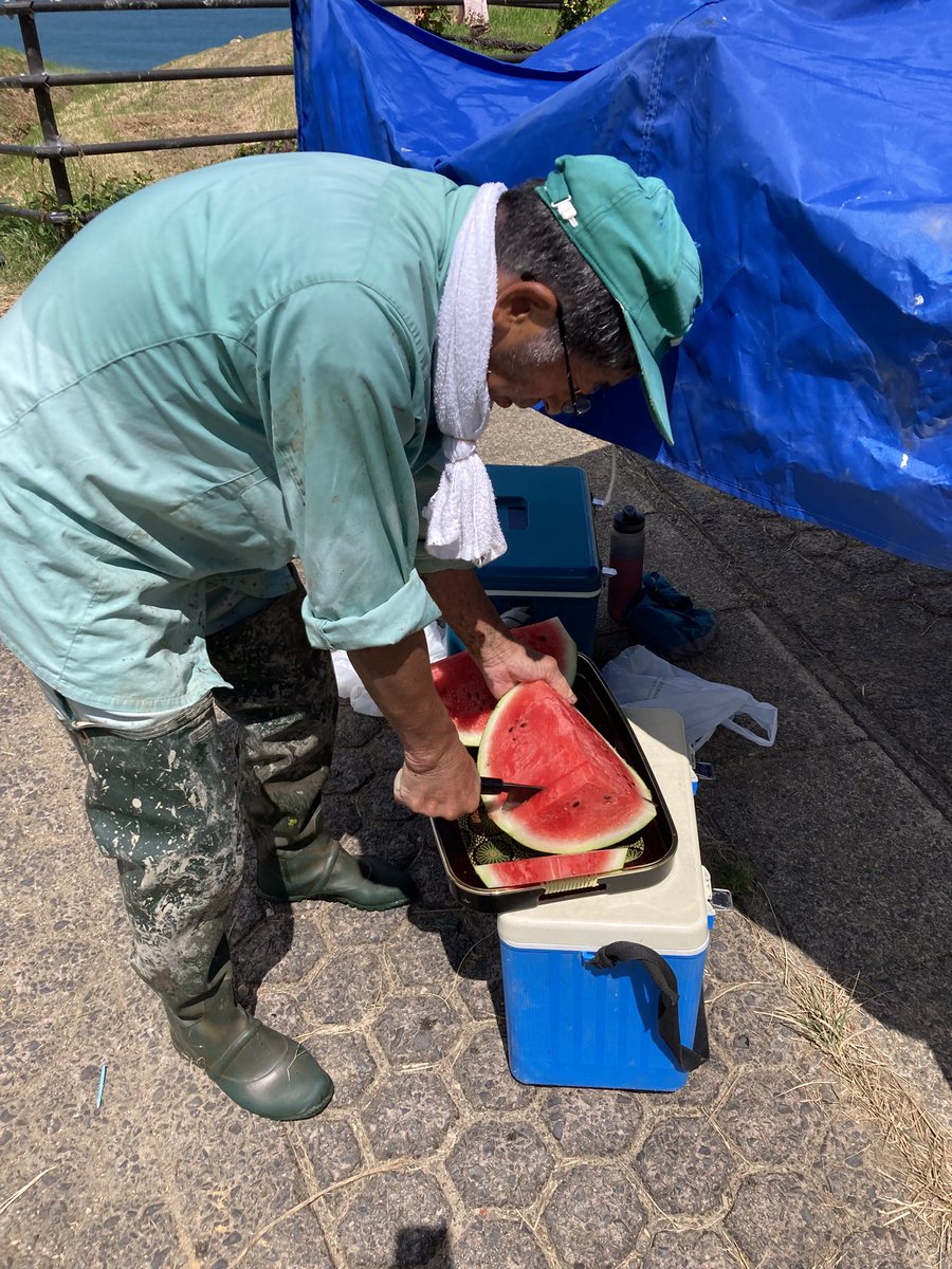 noto_senmaida's tweet image. 作業の合間のスイカ🍉沁みる。。
愛耕会メンバーが畑で採れたて巨大スイカを差し入れしてくれました✨
#令和6年能登半島地震 #能登 #輪島 #白米千枚田 #愛耕会 #能登豪雨 #草取り