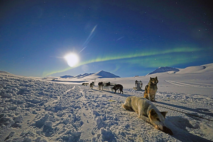 Looking for a summer trip where it never gets dark?
Scandinavia’s Midnight Sun will keep you glowing — literally. ☀️
Where to see it, when to go → pipeaway.com/holidays-in-sc…
#MidnightSun #ArcticCircle #ScandinaviaAdventure