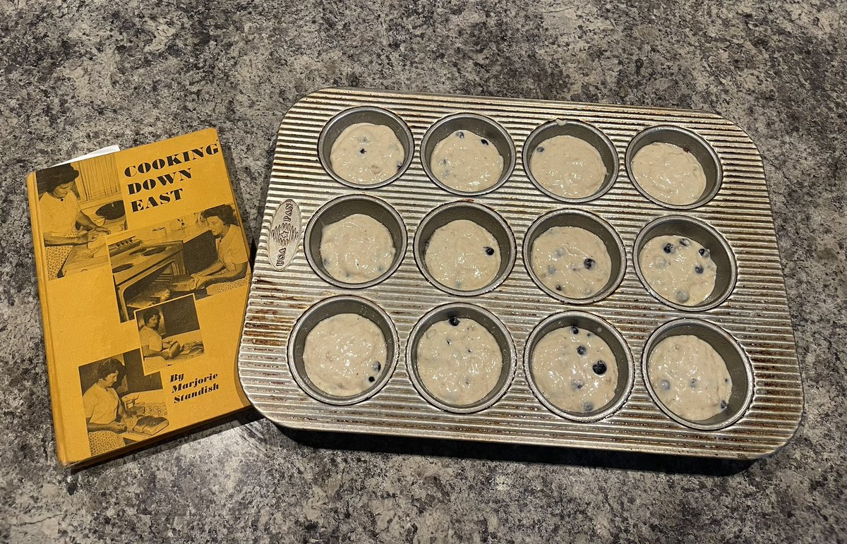 Ahhh wild Maine blueberry muffin time!

I love foraging in my own yard. ☕️