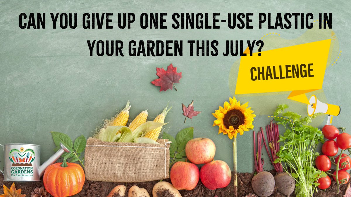 Northumberland Wildlife Trust (@northwildlife) on Twitter photo Are you up for the challenge? Choose just one single-use plastic item and see if you can ditch it for a whole month! Read our blog here now 👉 mycoronationgarden.org/blog/wildlife-…
possible by <a href="/HeritageFundUK/">The National Lottery Heritage Fund</a>
Made
#MyCoronationGarden #PlasticFreeJuly #wildlifegardening #organicgardening Are you up for the challenge? Choose just one single-use plastic item and see if you can ditch it for a whole month! Read our blog here now 👉 mycoronationgarden.org/blog/wildlife-…
possible by <a href="/HeritageFundUK/">The National Lottery Heritage Fund</a>
Made
#MyCoronationGarden #PlasticFreeJuly #wildlifegardening #organicgardening