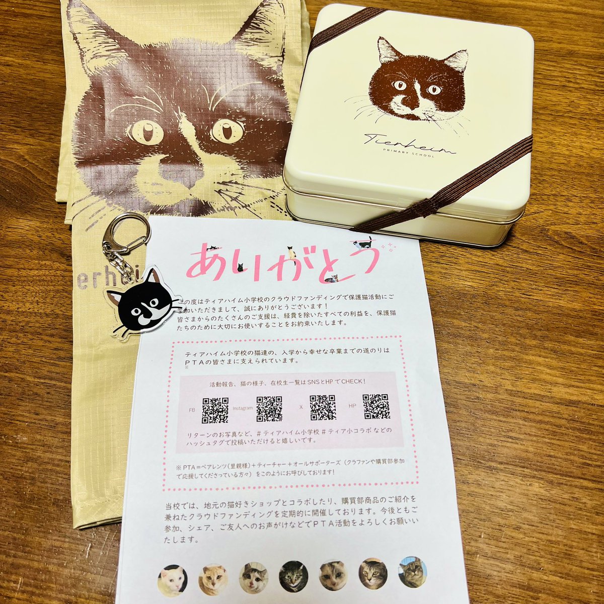 岡山の廃校を再利用した #保護猫 施設🐱
ティアハイム小学校のクラウドファンディングのリターン品が届きました🫶
◆とってもかわいいクッキー缶🍪
◆ロイ君エコバック🛍️
◆ロイ君キーホルダー✨
どれも可愛すぎる🥹💕🐈
#ティアハイム小学校 #保護猫と暮らす 
#ティア小コラボ
#保護猫活動