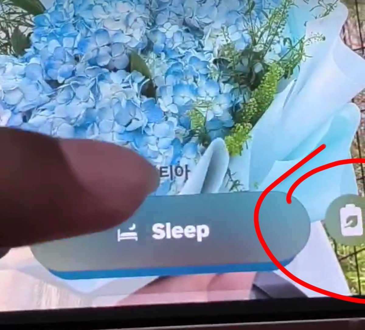 Noah Cat tweet media