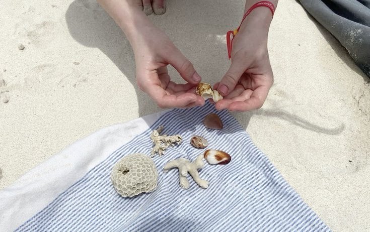 7월 여름 배경화면