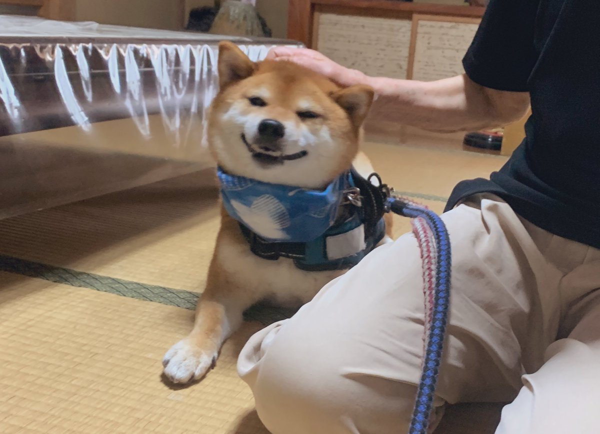 おばあさん家でたいへんすてきな時間を過ごす