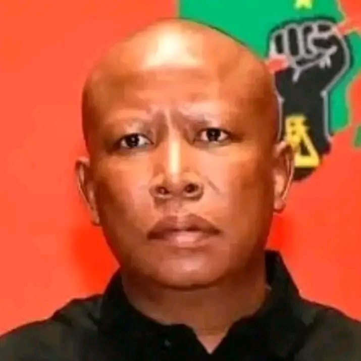 MDNnewss's tweet image. President Cyril Ramaphosa acknowledges EFF President Julius Malema at the funeral of former Deputy President David Mabuza.
#RIPDavidMabuza