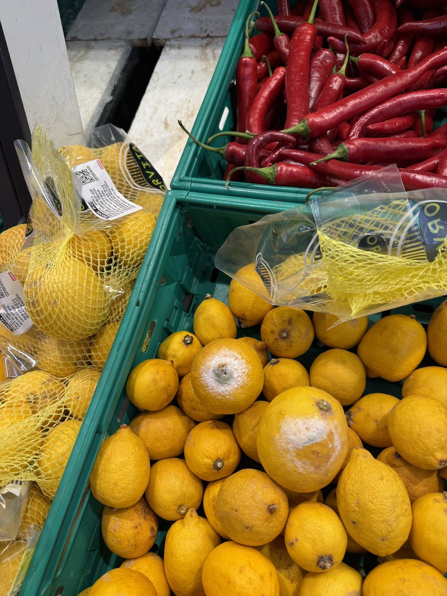 sailorSek's tweet photo. Siz bu ürünleri halka satmaya utanmıyor musunuz ?

 Fikirtepe Migros burası 12 Temmuz 

@Migros_Turkiye @migros @gidadedektifi https://t.co/WDPQzUJSpW