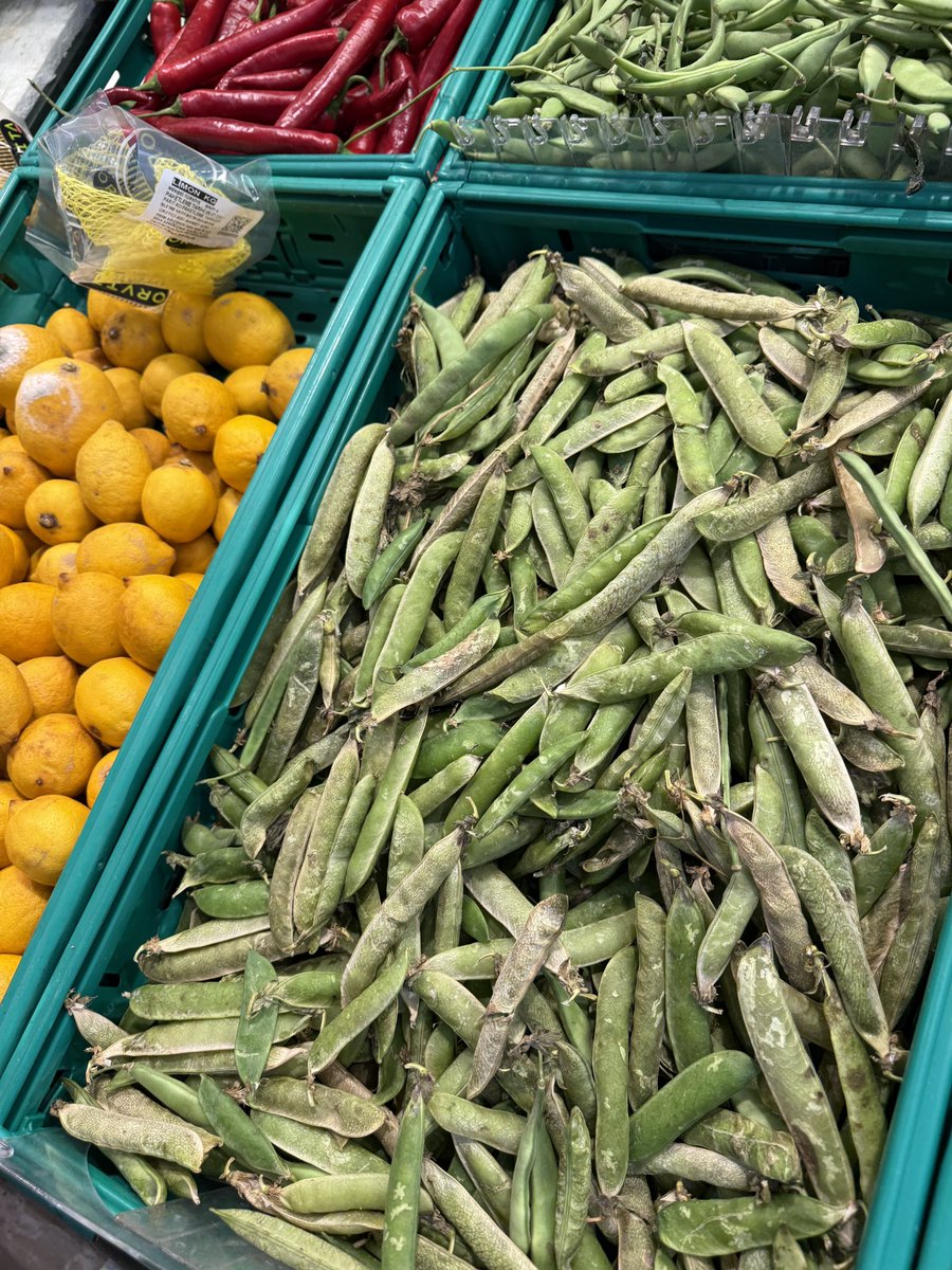 Siz bu ürünleri halka satmaya utanmıyor musunuz ?

 Fikirtepe Migros burası 12 Temmuz 

<a href="/Migros_Turkiye/">Migros Türkiye</a> <a href="/migros/">Migros</a> <a href="/gidadedektifi/"></a>