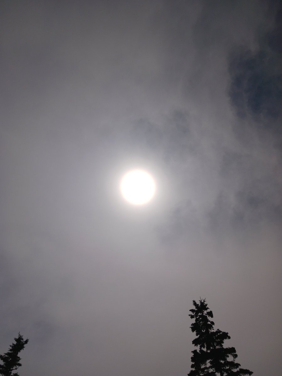 ImagesCoast's tweet image. "I can here them up there... but I just can't see them today. We are getting our deliveries. Blue sky there."
The constant roar of aircraft over Nova Scotia, Canada emitting huge flumes of chemicals that quickly turn into an artificial cloud blanket. July 03 2025
#chemtrails…