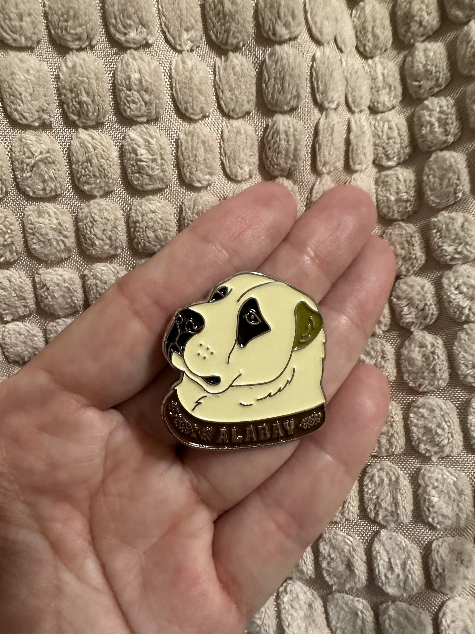 Turkmenistan アラバイ犬イラストTシャツ S ピンバッジセット