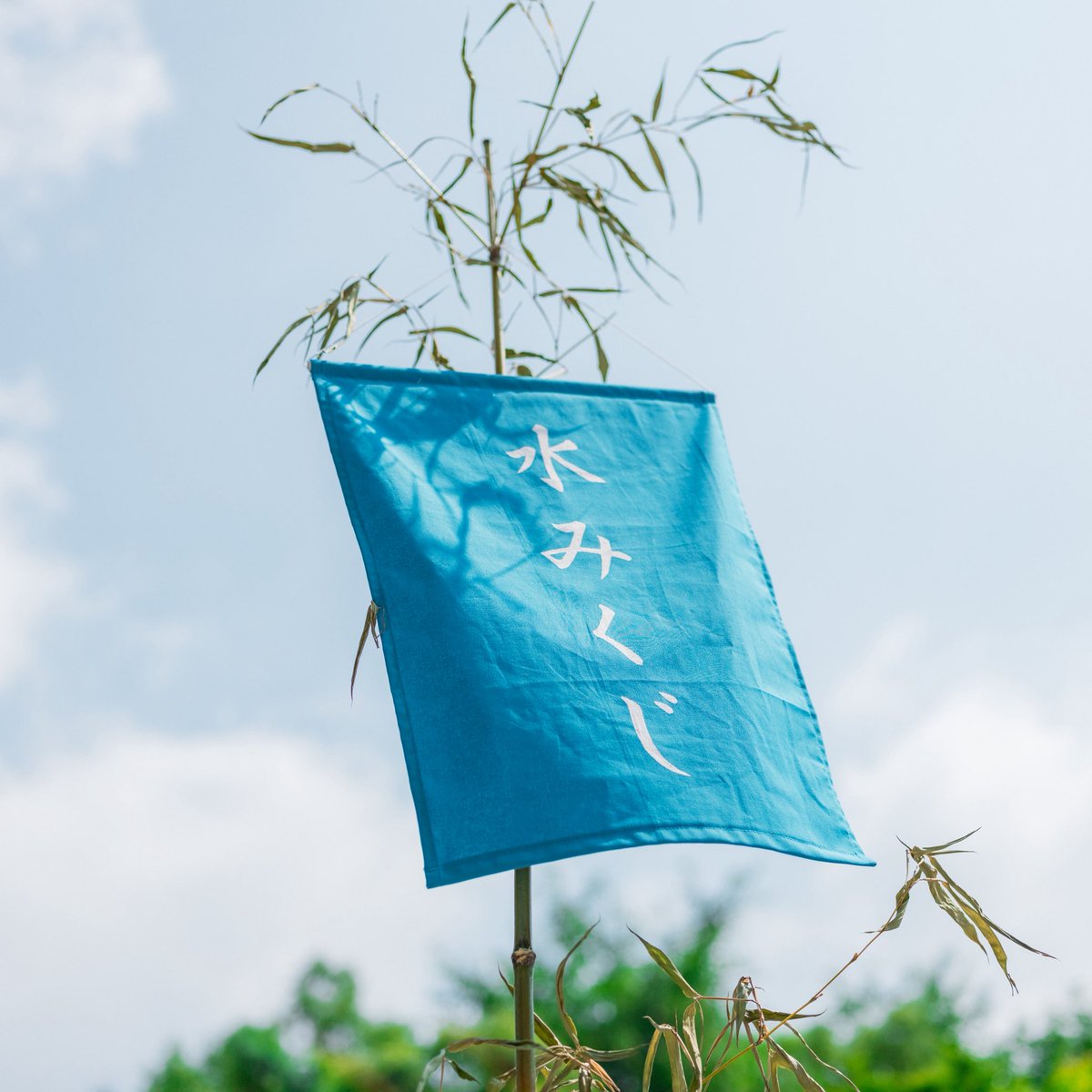 いくみさま＊確認ページです 水につけると運勢が浮き出る夏季限定の水みくじを授与いたしております