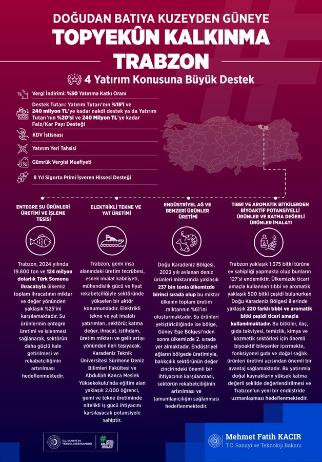 Resim