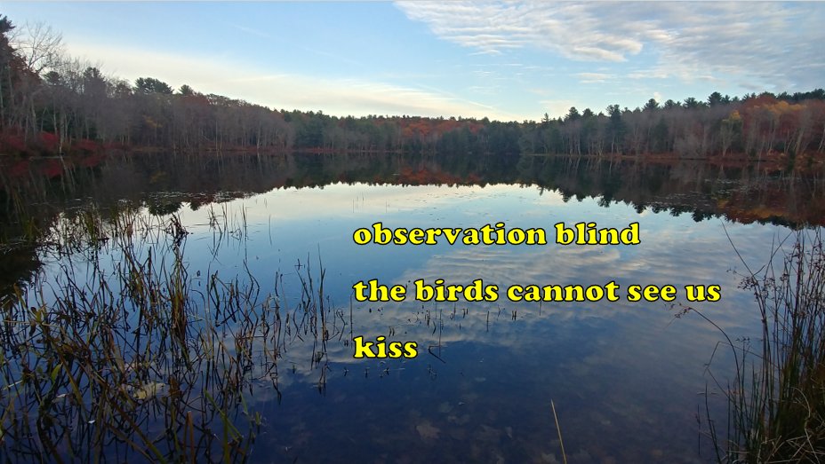 I got this haiku published in the Summer 2025 issue of Modern Haiku.

observation blind
the birds cannot see us
kiss