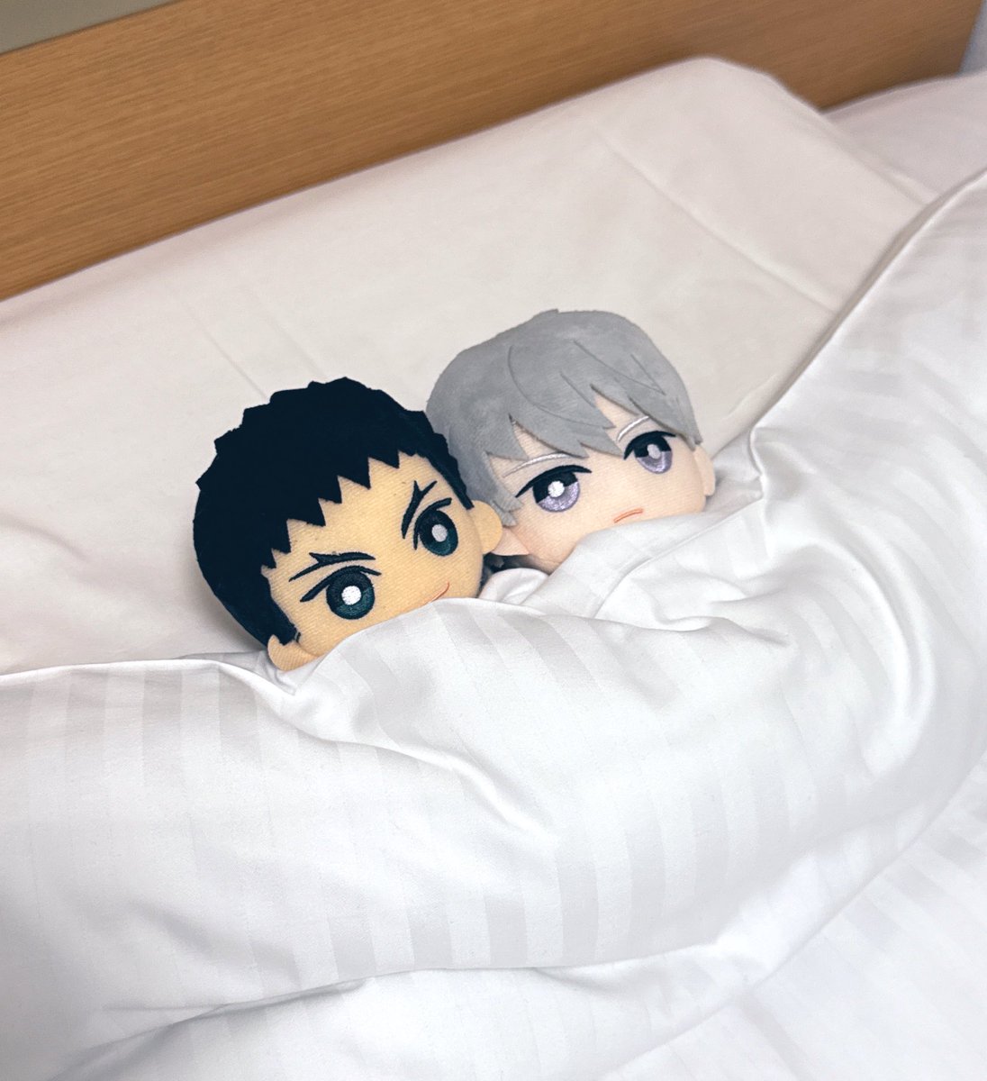 私はまだ寝られないんだ…今から印刷に行かないとだから…。君達は先に寝ててくれ…おやすみ…💤