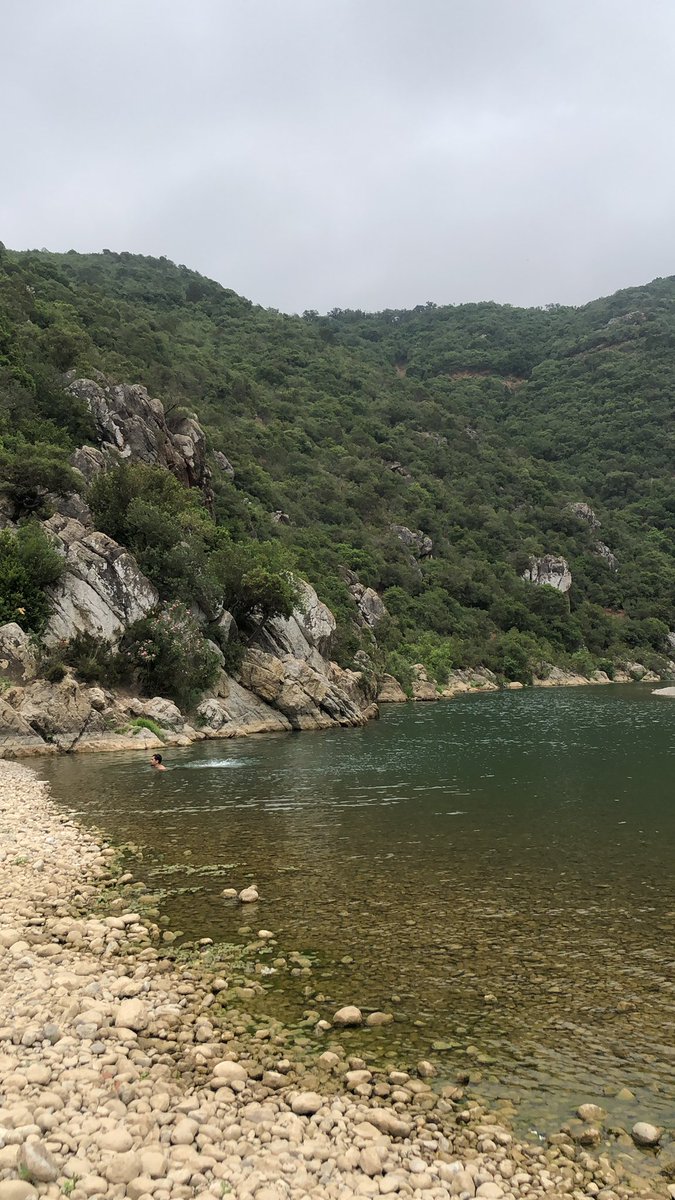 GM 🌞

Touching water instead of grass cause it’s too hot here.

#openseatouchgrass