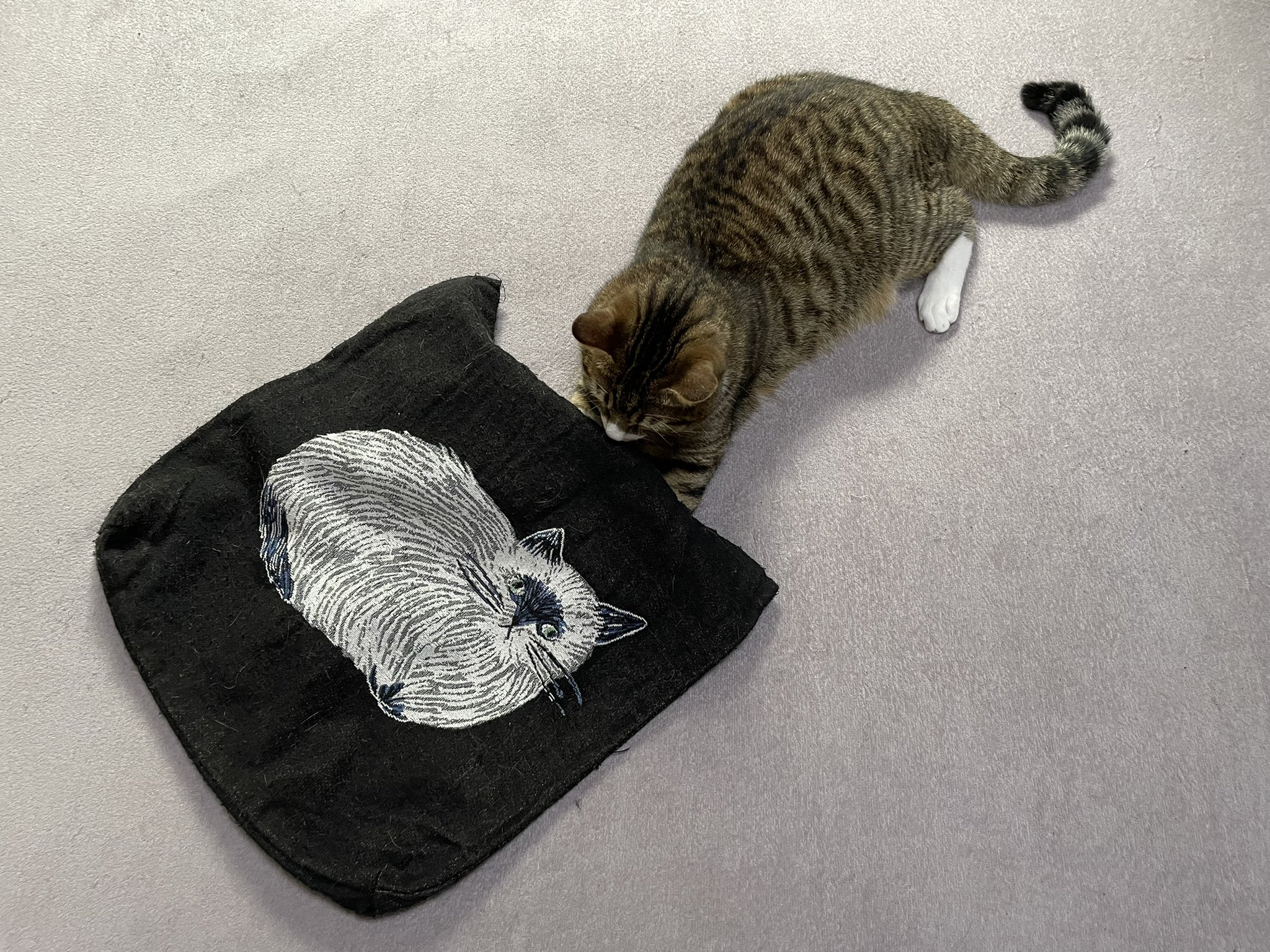 けあねこ(=^・^=)さま専用です♪ 楽天市場】ねこ様用の通販