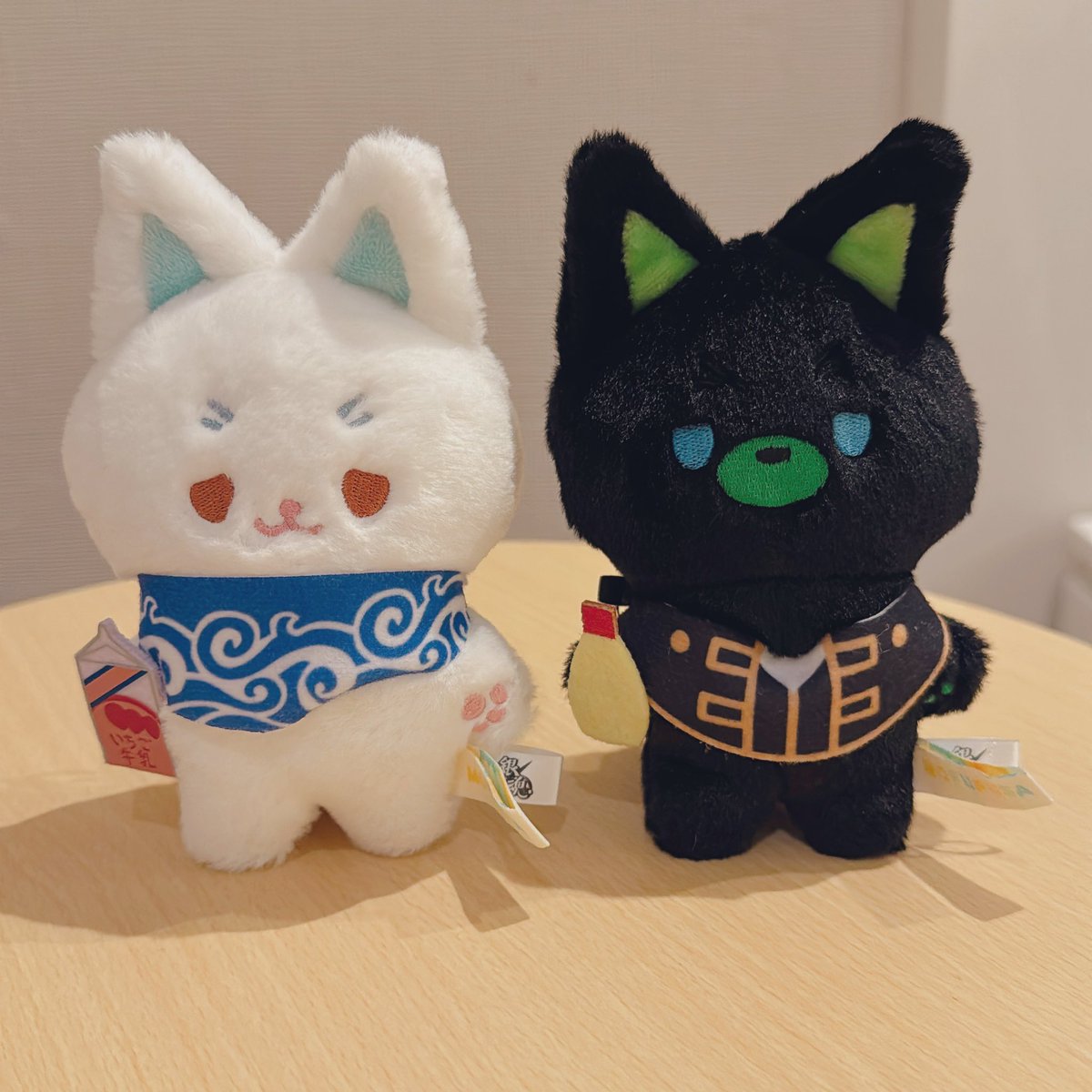 snowirue's tweet image. モフフサ、なんとシッポで自立するということを今日知った!びっくり👀!2匹の毛並みも違うくて、しずくさんと2匹をさわさわさわさわ👋して手触りを確かめた…✨️ おでかけたくさん連れていこう〜🎵