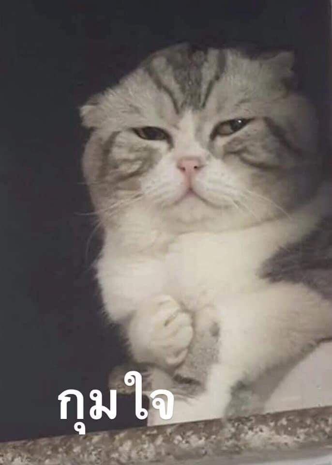 xin_znn's tweet image. &quot;พี่รอนะ&quot; &quot;ก็น้องพี่ไง&quot;