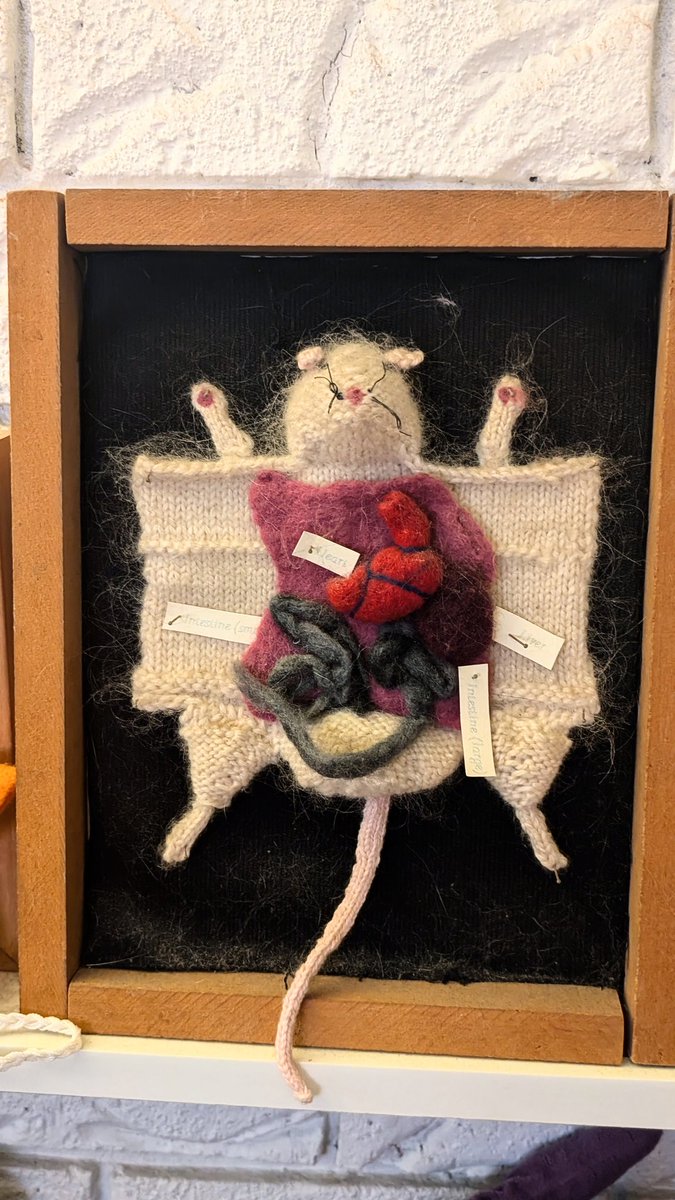 One of my partners knitting projects..