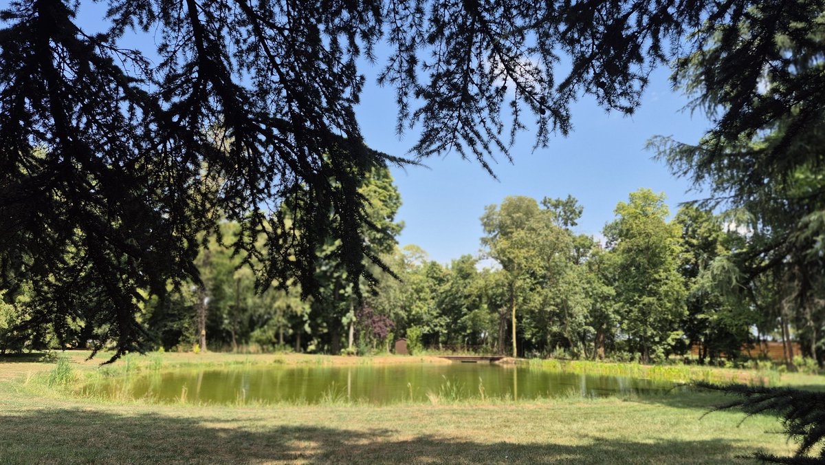 DanyDegli's tweet photo. Oggi sono immersa in un luogo magico a pochi chilometri dalla città, dove il silenzio regna indisturbato. Solo suoni della natura. 
In questo contesto cervello anima e cuore ritrovano finalmente il loro equilibrio https://t.co/GXxBr5SyyK