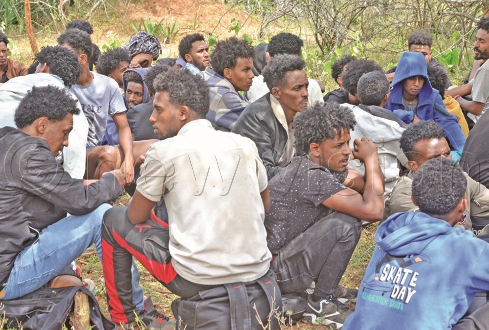 newvisionwire's tweet image. Immigration officers dump 109 Eritreans in wilderness

Among dumped Eritrean immigrants included expectant and breastfeeding mothers, men and three infant boys. Upon arrival at the border, government officials reportedly asked the Eritreans to disembark and walk back to their…