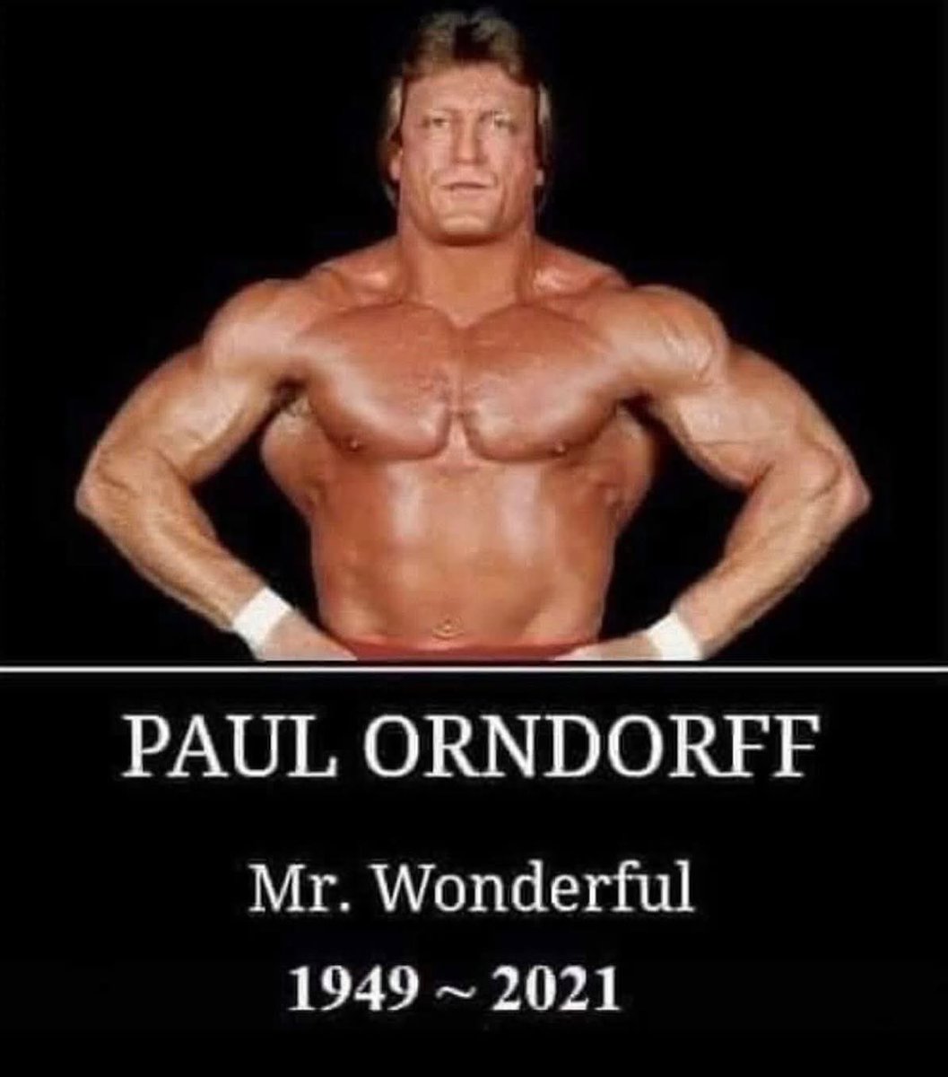 MarcMero's tweet image. Hard to believe it’s been 4 years since we lost Mr Wonderful @PaulOrndorffWWE I had the pleasure to wrestle him many times as Johnny B. Badd in WCW! A talent that will be missed. 🙏🏼💪🏼👊🏼
