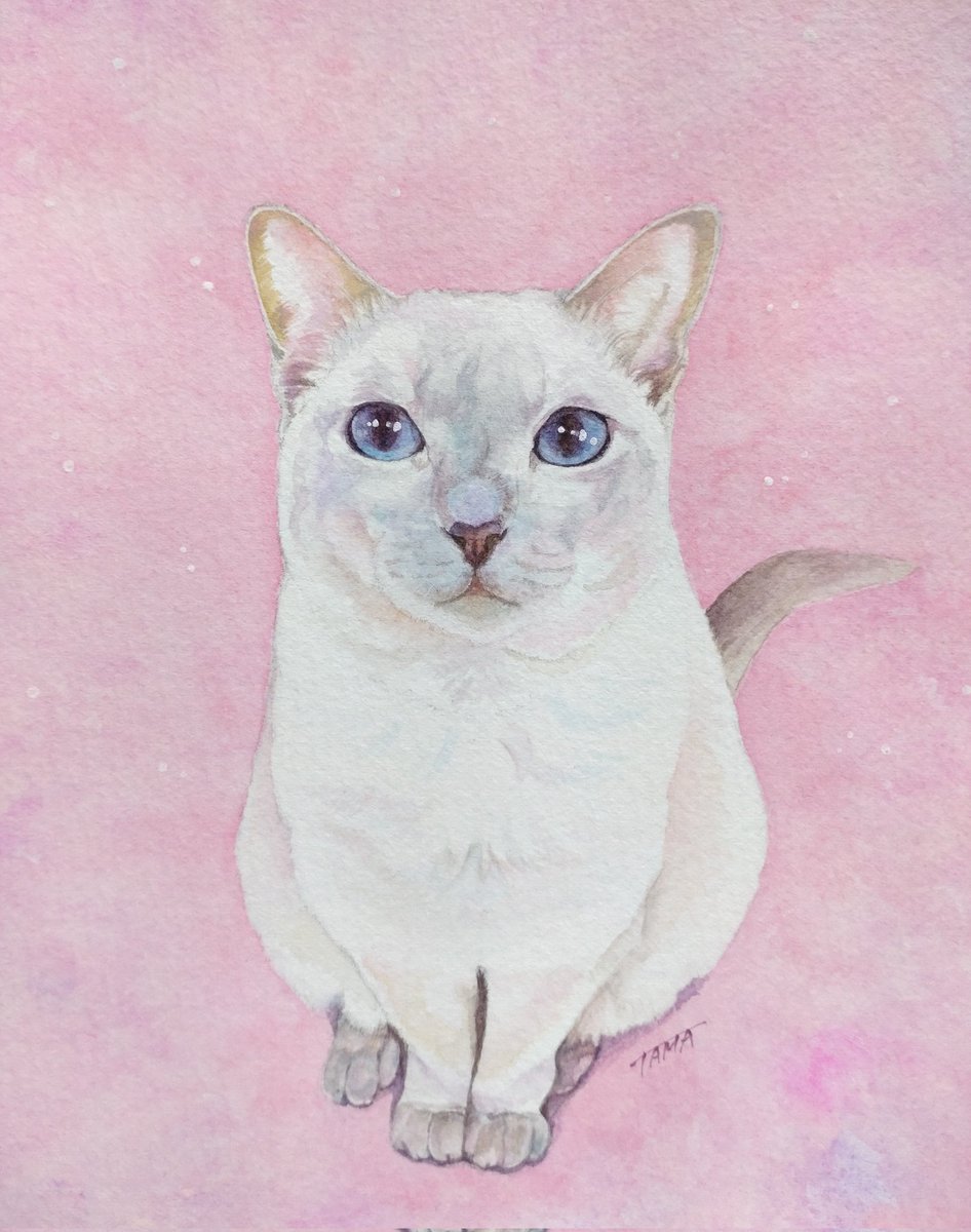 ritorutama's tweet image. #わんにゃんの日