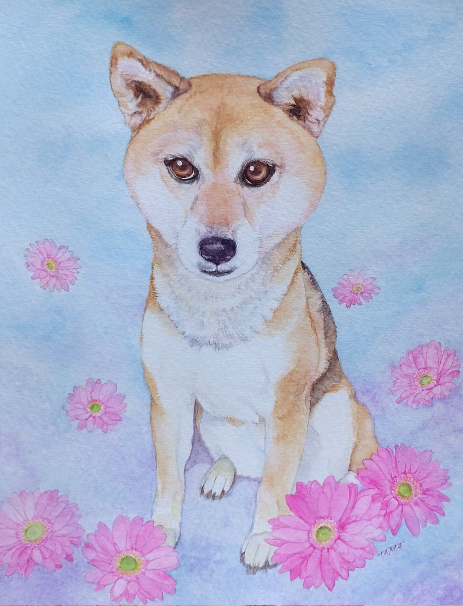 ritorutama's tweet image. #わんにゃんの日