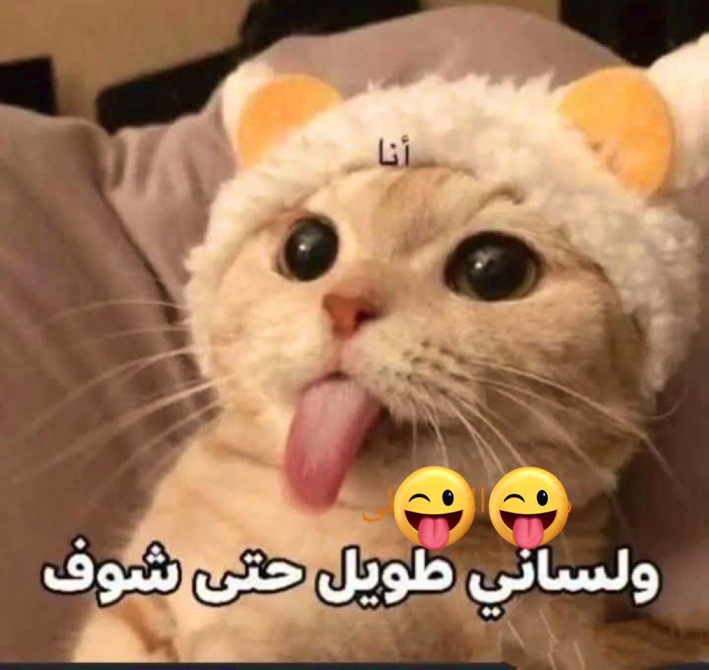 لما حد يقولك انتى دماغك ناشفه وعنيده ليه كده؟!