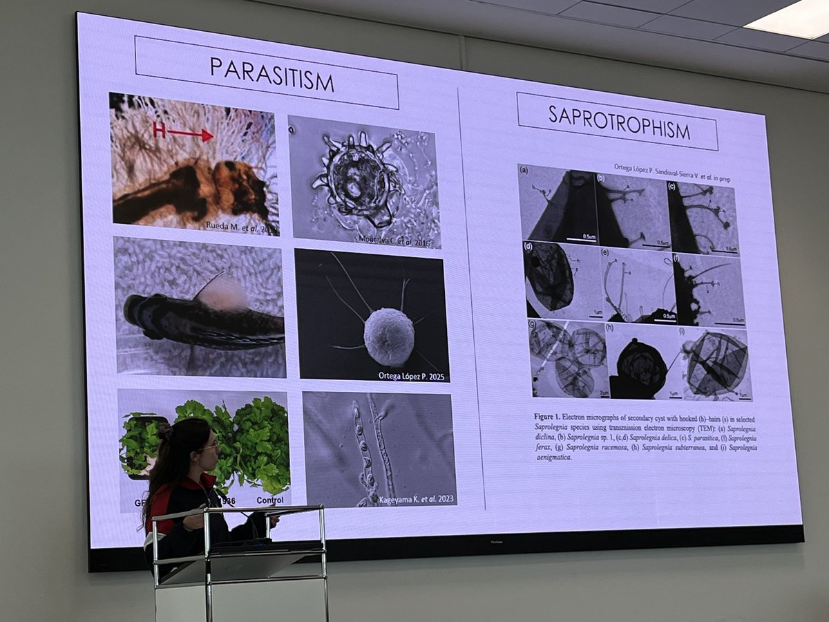 #OMGN2025 Paula Ortega ̶ Exploring the Evolution of Saprolegniales: Were ancestral Oomycetes
Parasites? - most probably animal parasites
