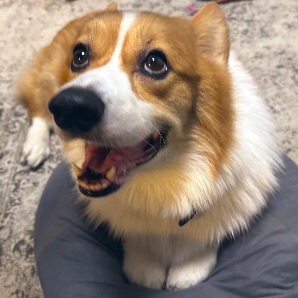 おてて揃ってる