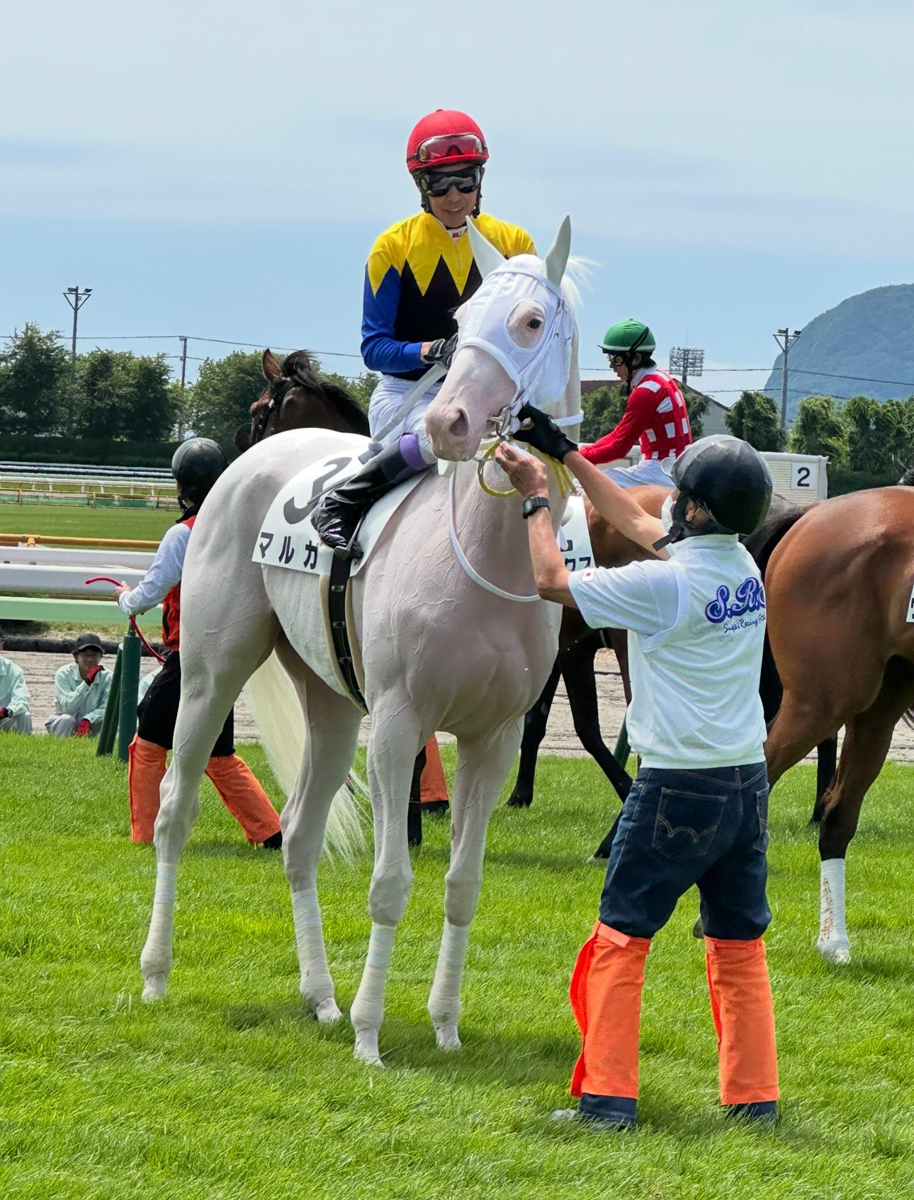 ブチコ - Search / X