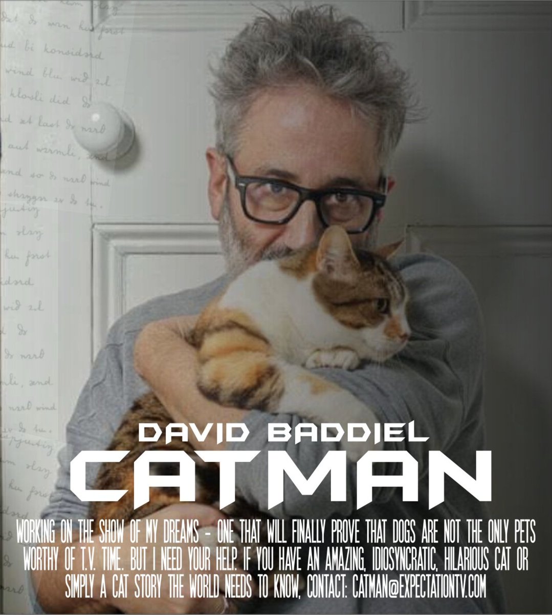 Cat people: a call-out. Please RT.
