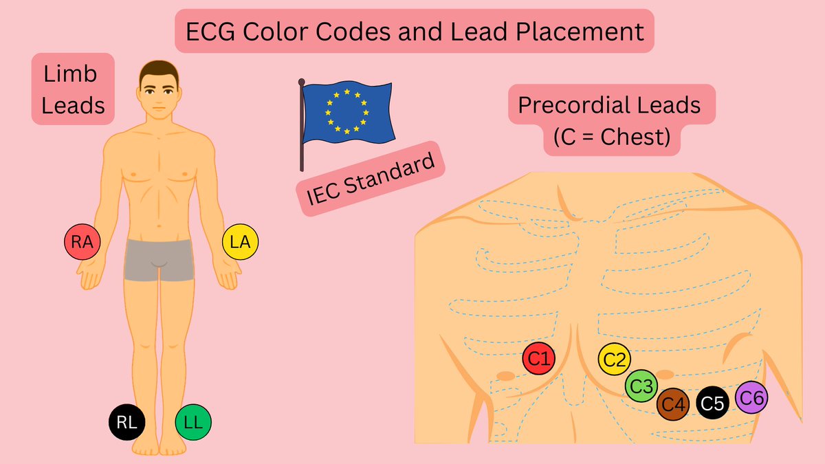 ECGsmart tweet media