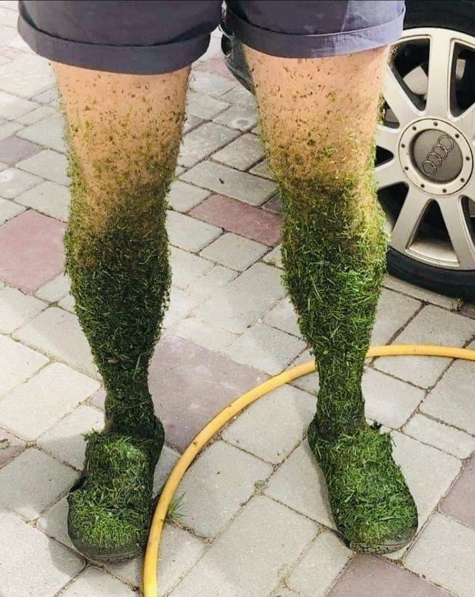 Maybe wearing shorts to mow my wet grass wasn’t such a good idea. Also, maybe I should start shaving my legs.