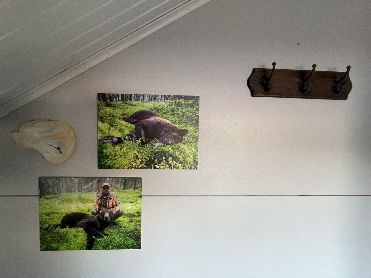 Linyang_Sun's tweet photo. Yesterday lived in a hunter’s Airbnb. Very good host and so many interesting stories. Hunting is a very new knowledge for my first half of life! Nice! Discovered something: the lupine occurrence between Jyväskylä and Oulu decrease gradually, but the sauce number of kebab increase https://t.co/PGF7QS2BQ6