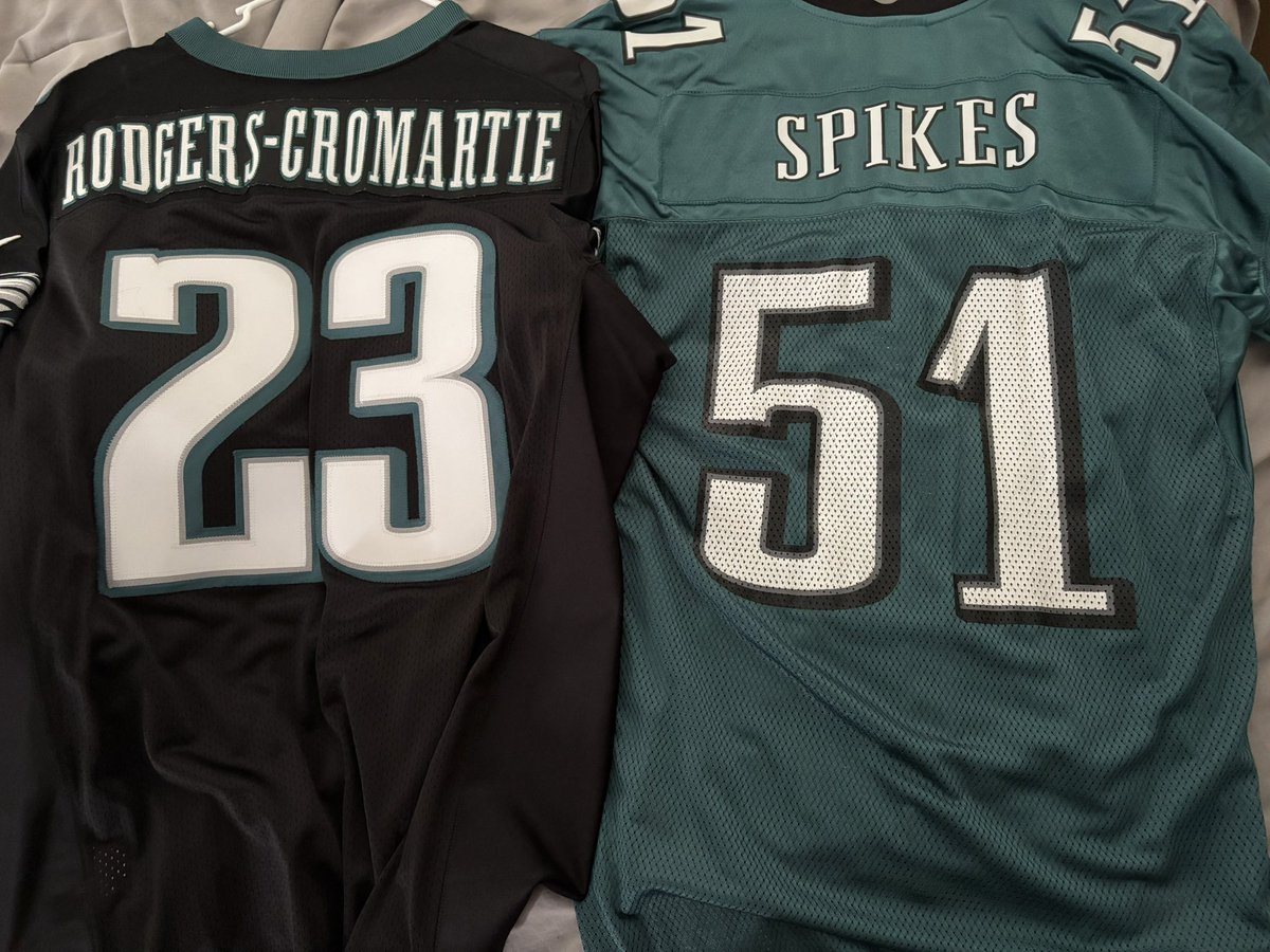 All About The Birds tweet media