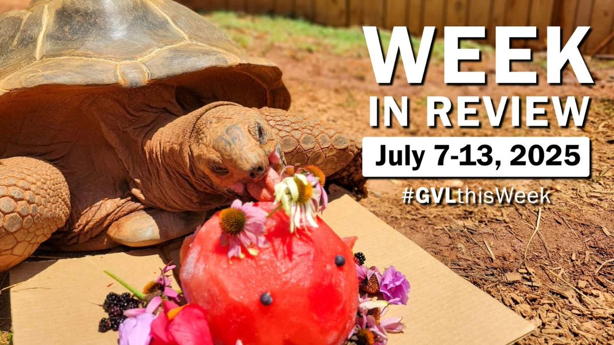 🐢 Shell-a-brating our favorite birthday boys. 🌺⛳️ Teeing off with tropical golf. 💥 Having a BLAST with fireworks and 20 thousand friends. 🏆 Trophy time. #GreenvilleSC gets two national honors. Here's Henry with #GVLthisWeek.
➡️ youtu.be/3nqPVRj8VM0
