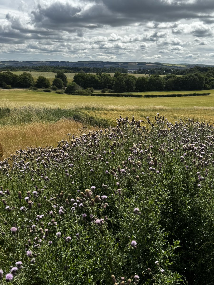 Beautiful views at our new home, we can’t get enough of these 🥰 😍