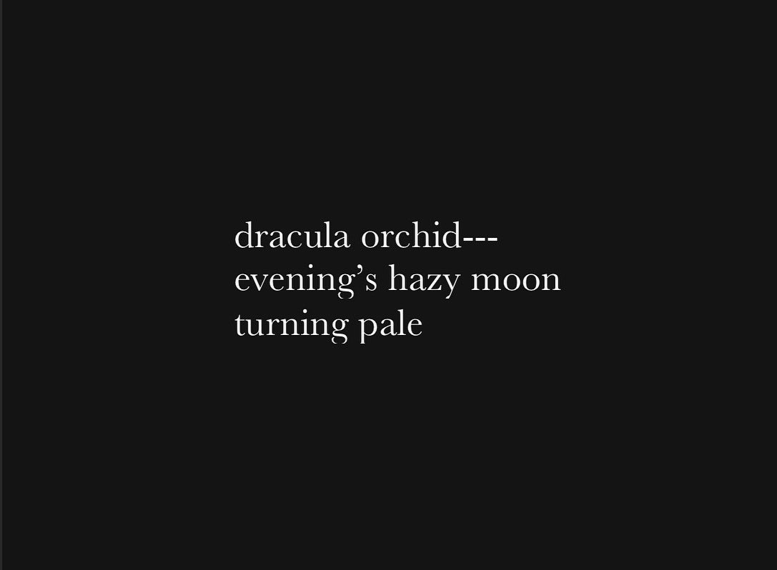 FreshoutMag's tweet image. #haiku by Sheikha A. Sheikha is from Pakistan & United Arab Emirates. Her work has been widely published & some of her #poetry has been translated into 9 languages so far. More at: sheikha82.wordpress.com #orchid #chiroscuro #moon #poetrylovers #micropoetry #pakistan #uae