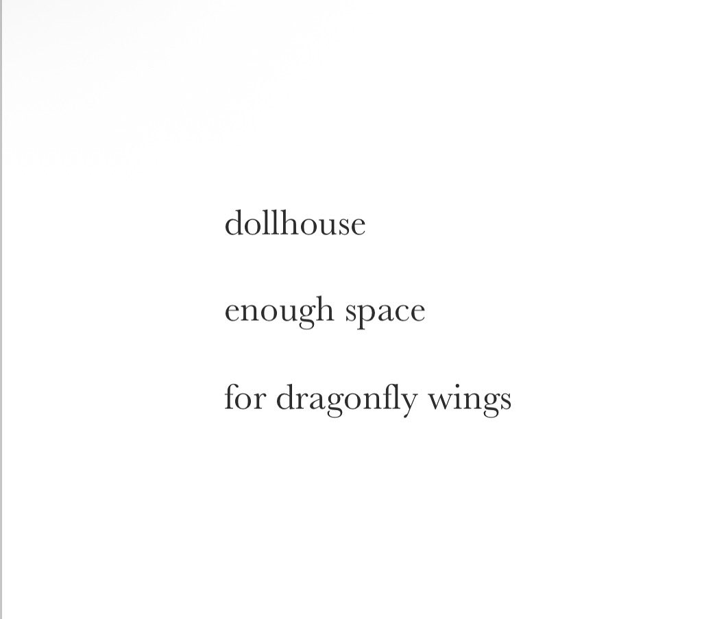 FreshoutMag's tweet image. #senryu by Laila Brahmbhatt @laila_brahmbhatt #haiku #summer #girls #poetry #dragonflies #dolls #poetrycommunity #wings #poetrylovers #dollhouse #micropoetry #nyc