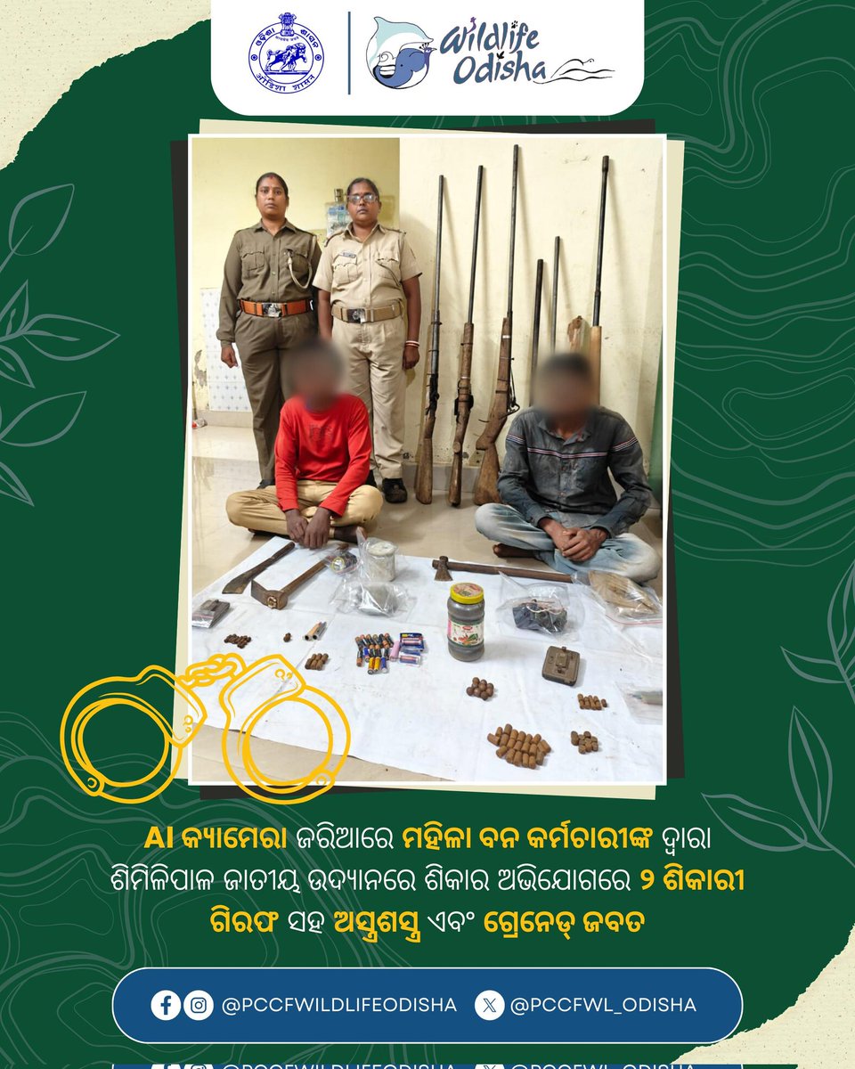 Using AI camera inputs, two poachers involved in hunting inside Similipal National Park were arrested from Sapanchua village by brave women forest staff. Weapons and grenades were seized during the raid. The courageous operation was led by two dedicated officers of Dukura