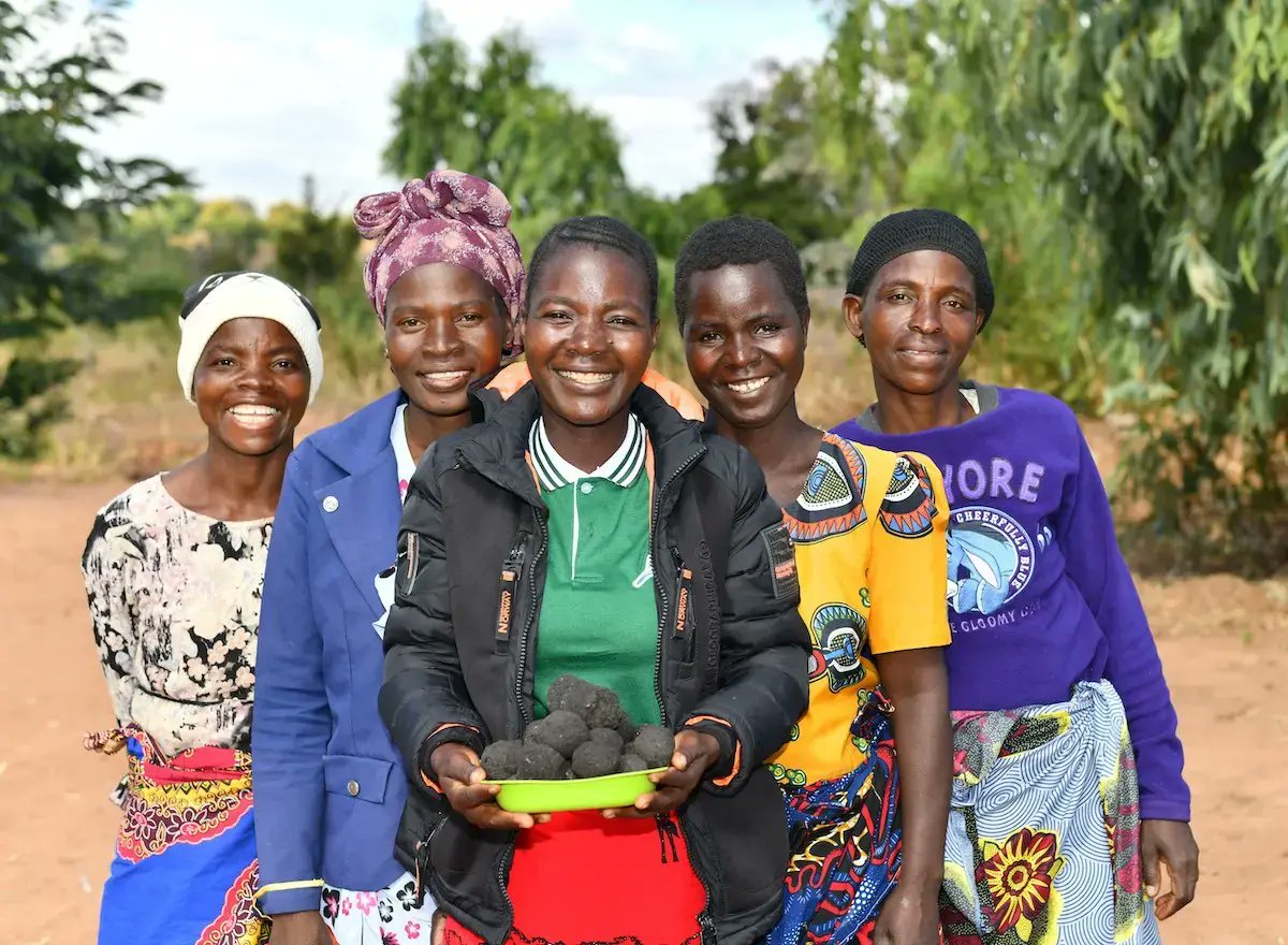 unwomenmalawi's tweet image. UN Women at 15!
Climate shocks may push 158M more women into poverty by 2050.
@UNWomenMalawi supported by @dfat trained women in Zomba, Blantyre & Phalombe to turn waste into fuel briquettes, lead recovery post-Cyclone Freddy & shape gendered DRR plans
🔗bit.ly/3U7j5Sl