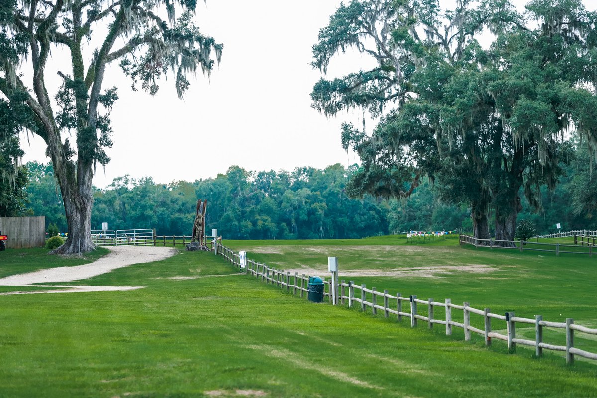 FSU_Track's tweet image. The 𝑾𝑶𝑹𝑳𝑫 Athletics Cross Country Championship will be hosted right in our backyard at Apalachee Regional Park on January 10, 2026 🤩
This is the first time since 1972 that the World Championship will be hosted in the United States.
#NoleFamily | #OneTribe
