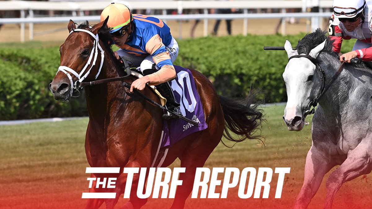 Races 5, 6, 9, 12 are OFF THE TURF. The two stakes are on as of now with the Diana moving to the Mellon turf course.