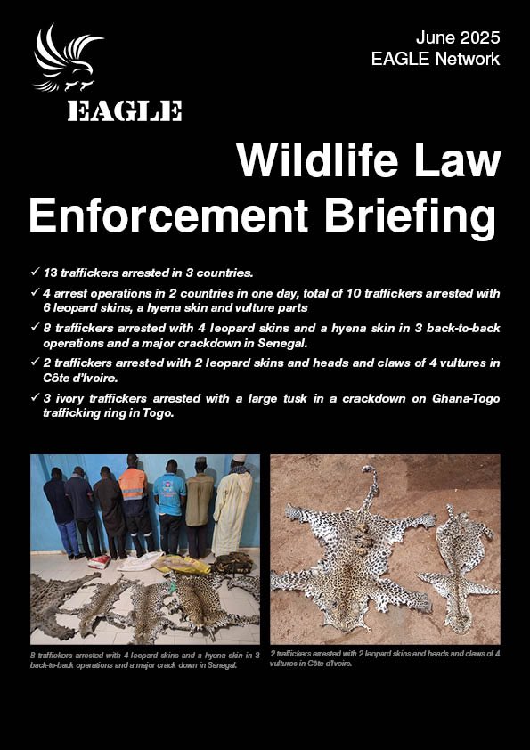 The EAGLE Briefing of June month is out: 
•13 traffickers arrested in 3 countries.
•4 arrest operations in 2 countries in one day, total of 10 traffickers arrested with 6 leopard skins, a hyena skin and vulture parts

eagle-enforcement.org/data/files/eag…